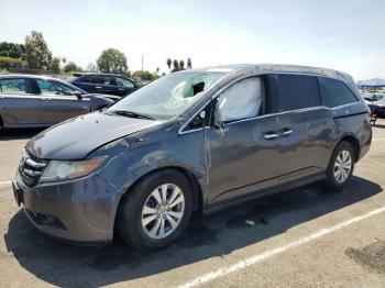  Salvage Honda Odyssey