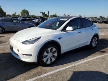  Salvage Tesla Model Y