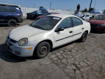  Salvage Dodge Neon