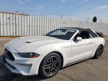  Salvage Ford Mustang