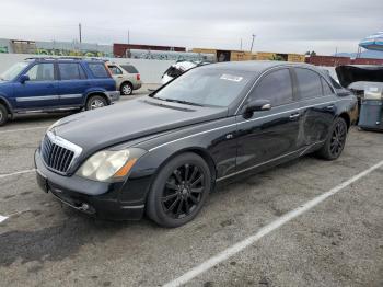  Salvage Maybach Maybach