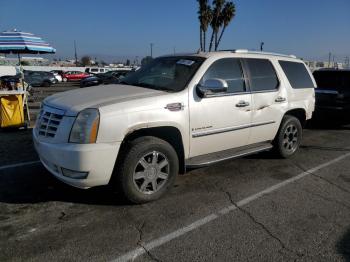  Salvage Cadillac Escalade