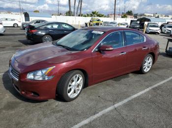  Salvage Nissan Maxima