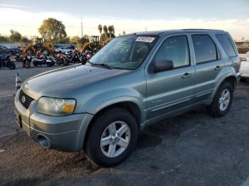  Salvage Ford Escape