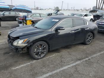  Salvage Nissan Maxima