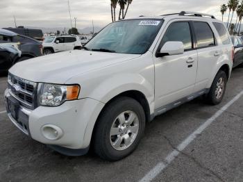  Salvage Ford Escape