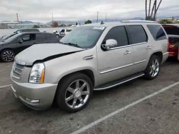  Salvage Cadillac Escalade