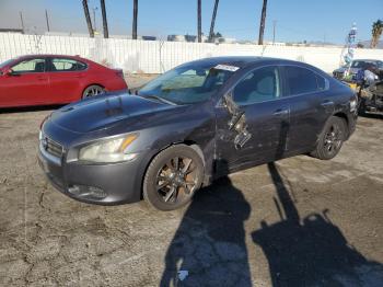  Salvage Nissan Maxima