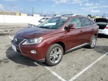  Salvage Lexus RX