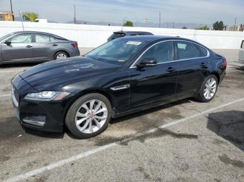  Salvage Jaguar XF