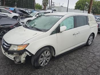  Salvage Honda Odyssey