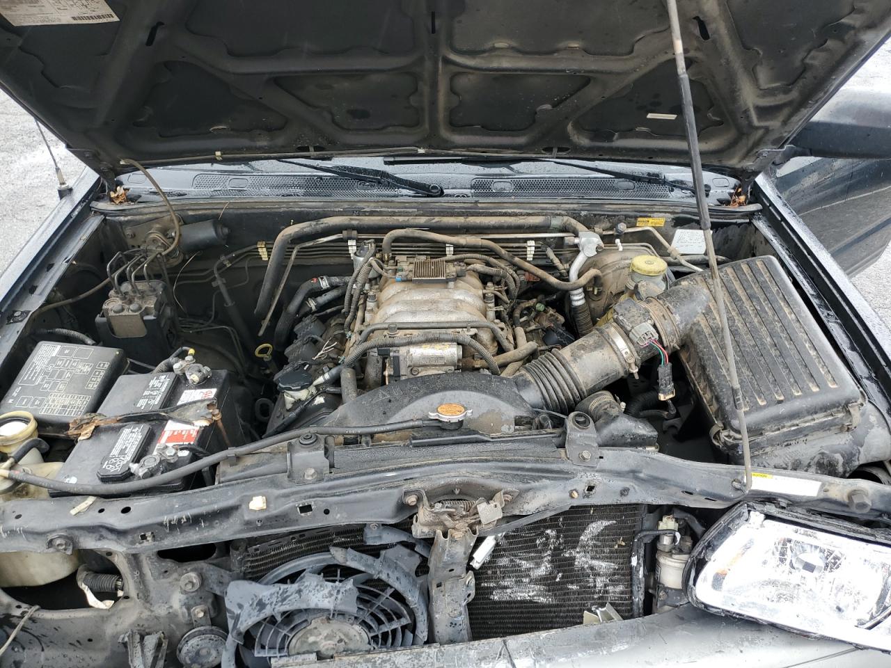 Isuzu Rodeo S Image 8