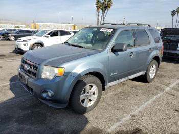  Salvage Ford Escape
