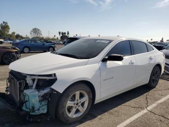  Salvage Chevrolet Malibu