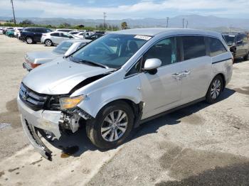  Salvage Honda Odyssey