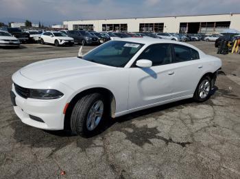  Salvage Dodge Charger