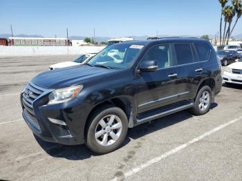  Salvage Lexus Gx