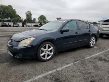  Salvage Nissan Maxima
