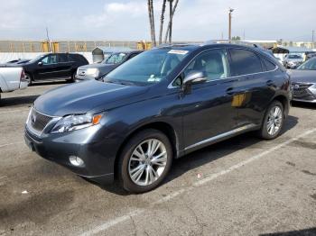  Salvage Lexus RX