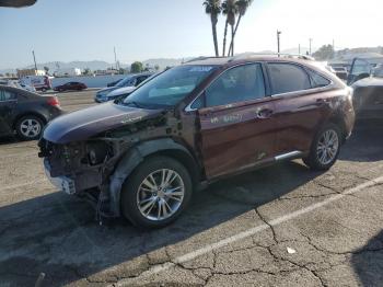  Salvage Lexus RX