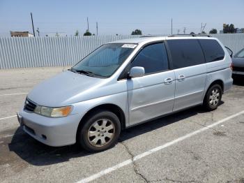  Salvage Honda Odyssey