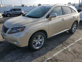  Salvage Lexus RX