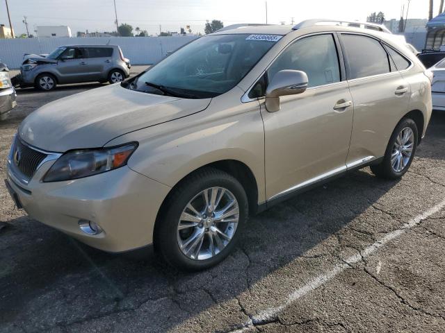  Salvage Lexus RX