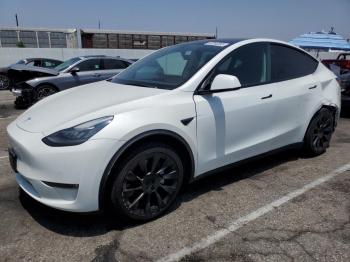  Salvage Tesla Model Y