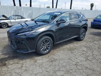  Salvage Lexus NX