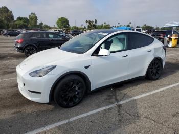  Salvage Tesla Model Y