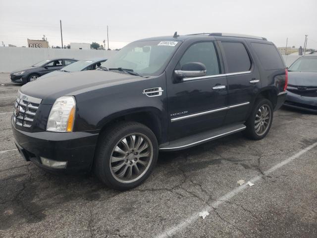  Salvage Cadillac Escalade