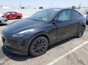  Salvage Tesla Model Y