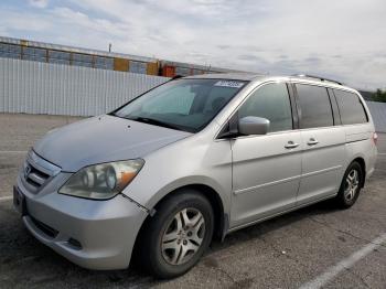  Salvage Honda Odyssey