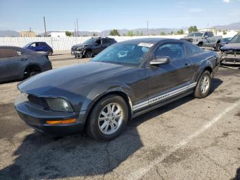  Salvage Ford Mustang