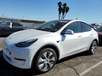  Salvage Tesla Model Y