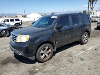  Salvage Honda Pilot