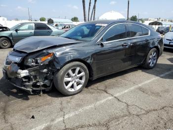  Salvage Acura TL