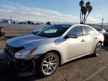  Salvage Nissan Maxima
