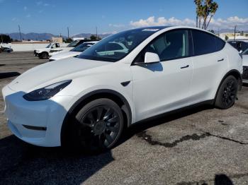  Salvage Tesla Model Y