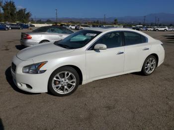  Salvage Nissan Maxima
