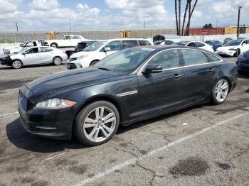 Salvage Jaguar XJ