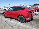 Tesla Model Y Image 6