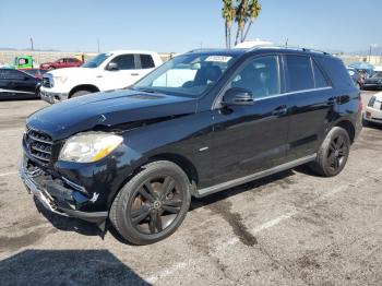  Salvage Mercedes-Benz M-Class