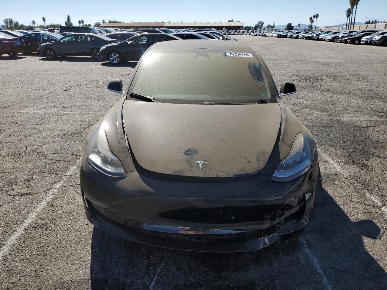 Tesla Model 3 Image 12