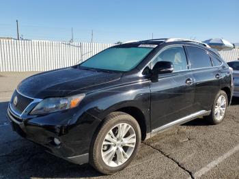  Salvage Lexus RX