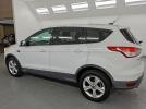 Ford Escape Se Image 7