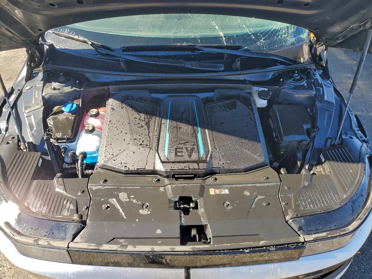 Hyundai Ioniq Sel Image 8