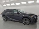 Lexus RX 450h+ Luxury Image 14