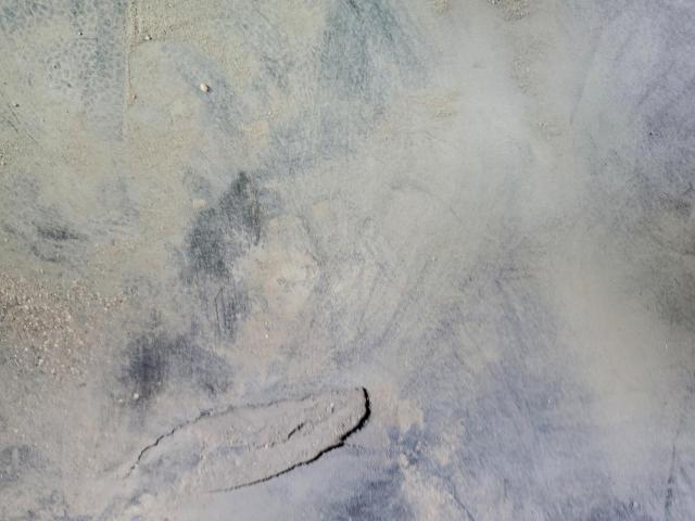 Freightliner Cascadia 1 Image 2