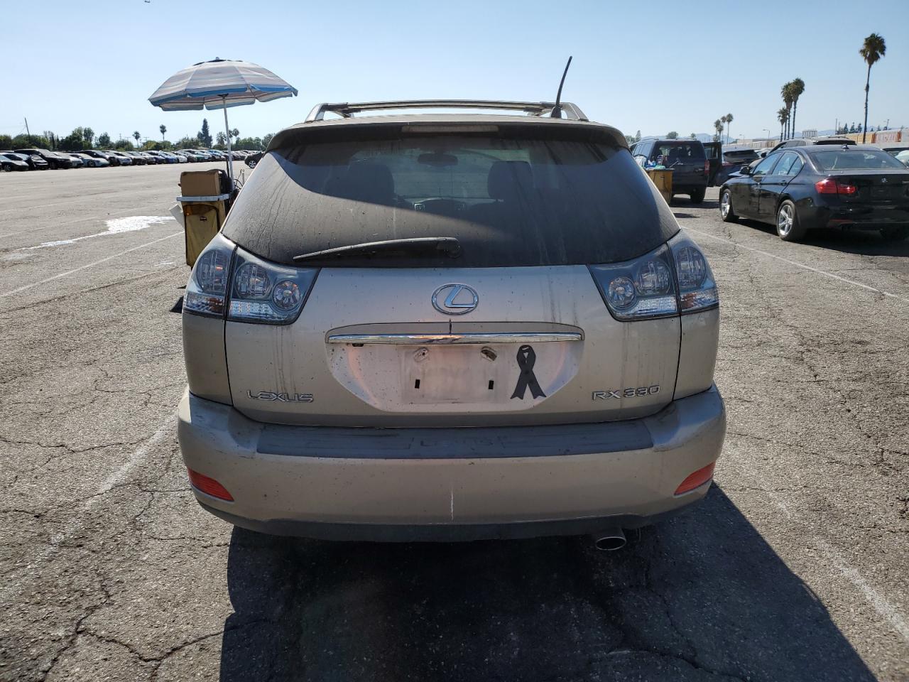 Lexus RX 330 Image 12